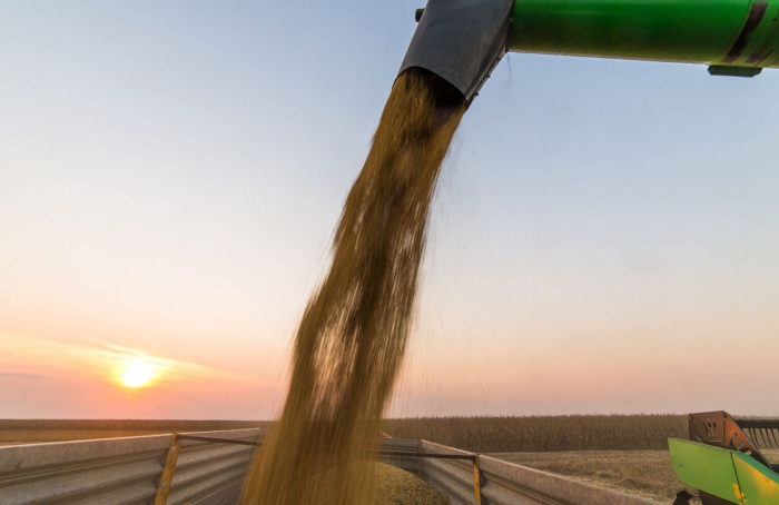 Estimate of the 2023-24 Brazilian soybean harvest is raised to 147,9 million tons