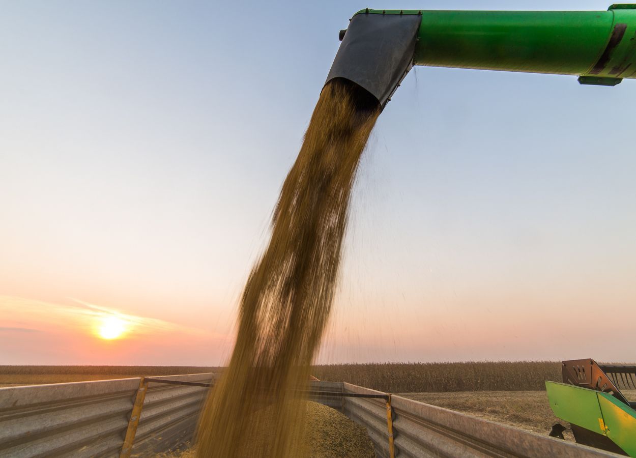 Estimativa da safra 2023-24 de soja brasileira é elevada para 147,9 milhões de toneladas