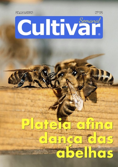 Cultivar Semanal 72