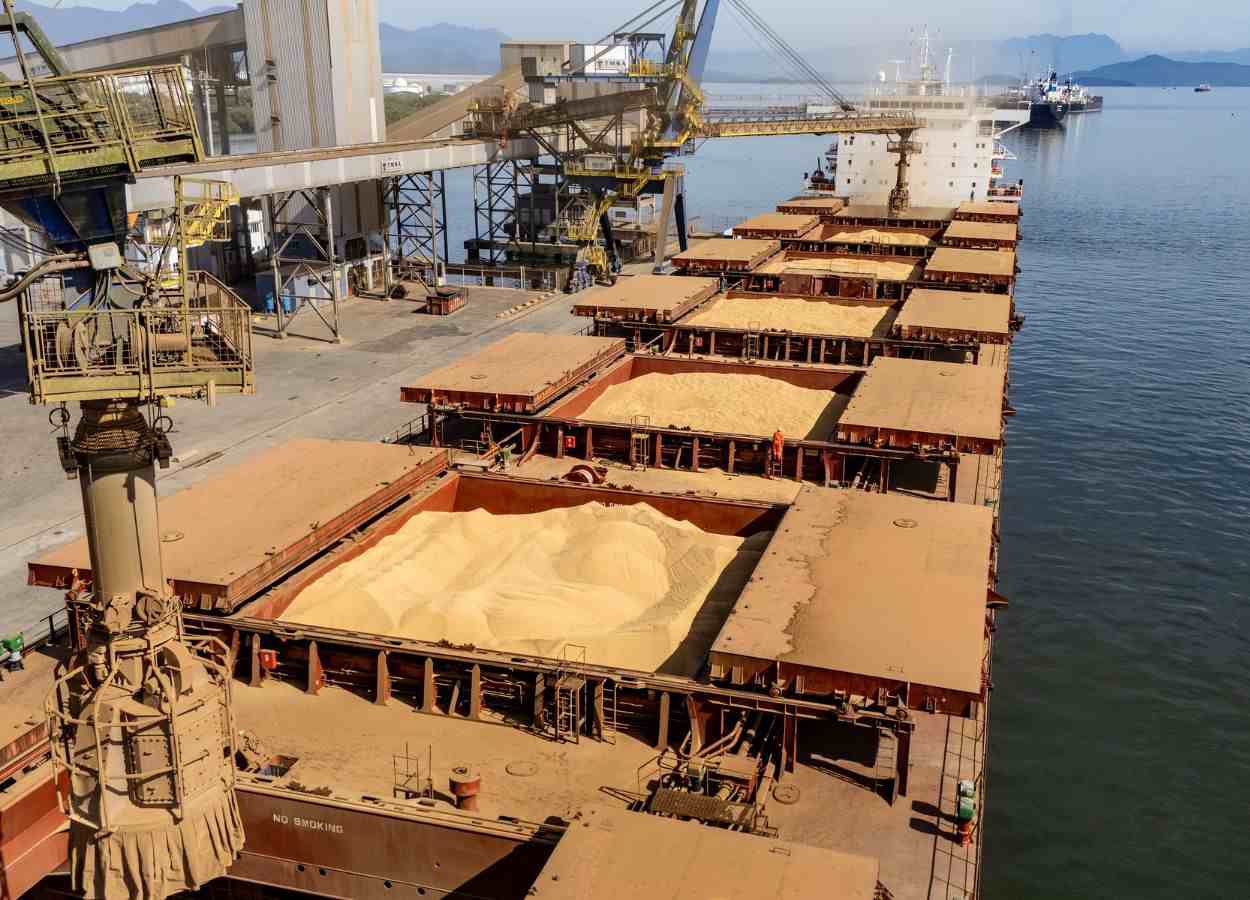 Brasil amplia exportações de soja e milho no início de 2026