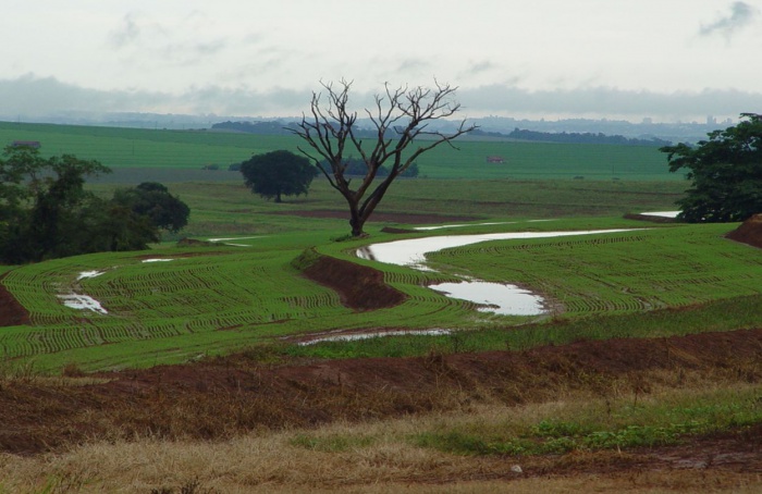 Paraná busca medidas para aliviar dívidas no campo