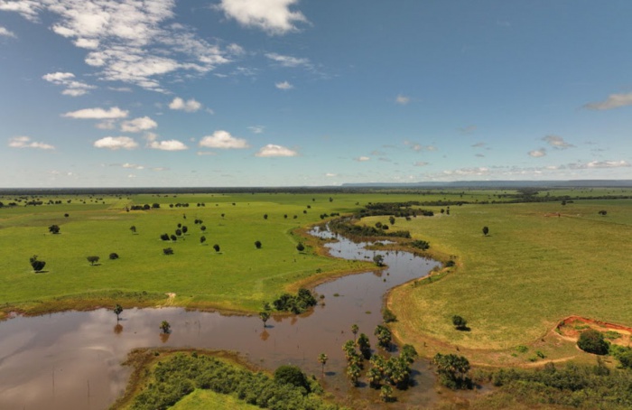 Parceria impulsiona agricultura regenerativa no Cerrado