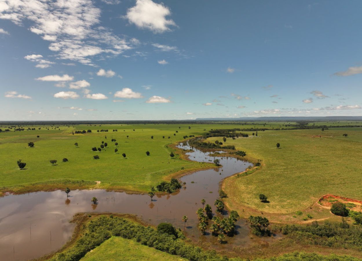 Parceria impulsiona agricultura regenerativa no Cerrado