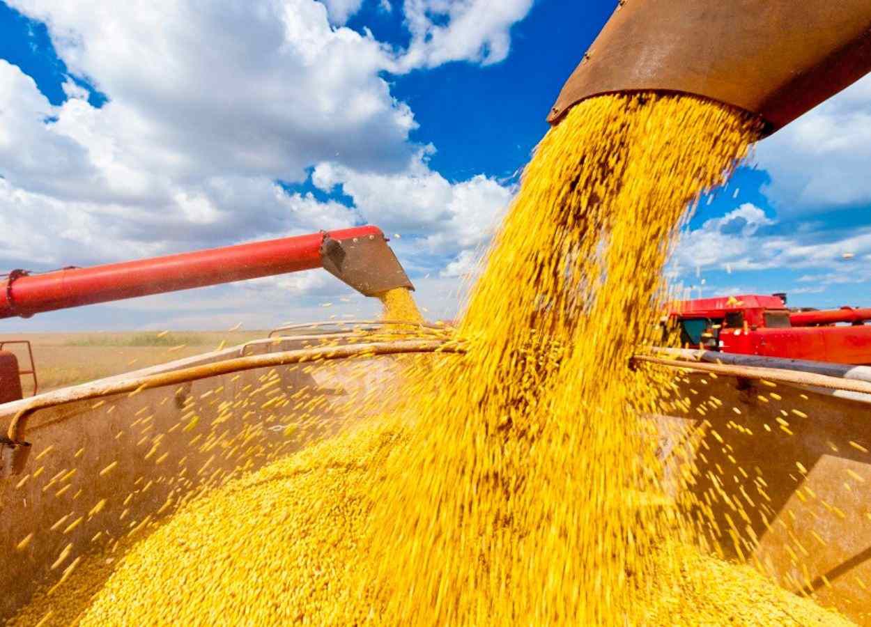 Prorrogado prazo para submissão de trabalhos no CBSoja