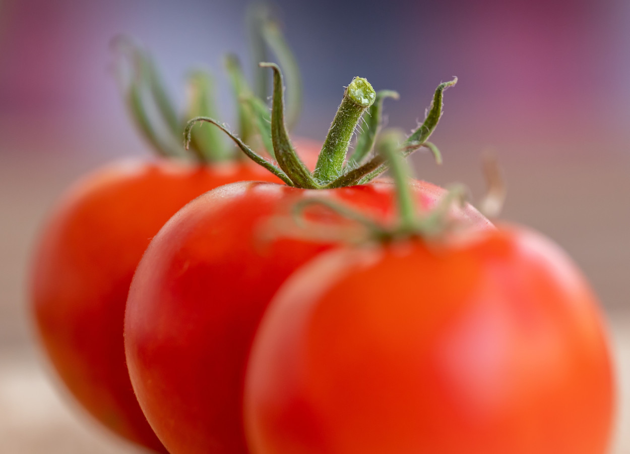 Foto:&nbsp;tom analogicus / pexels