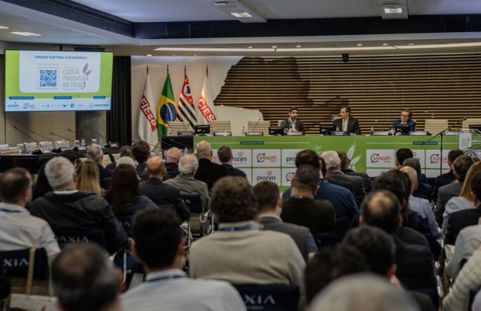 Trigo paulista registra avanços, mas clima afeta produção