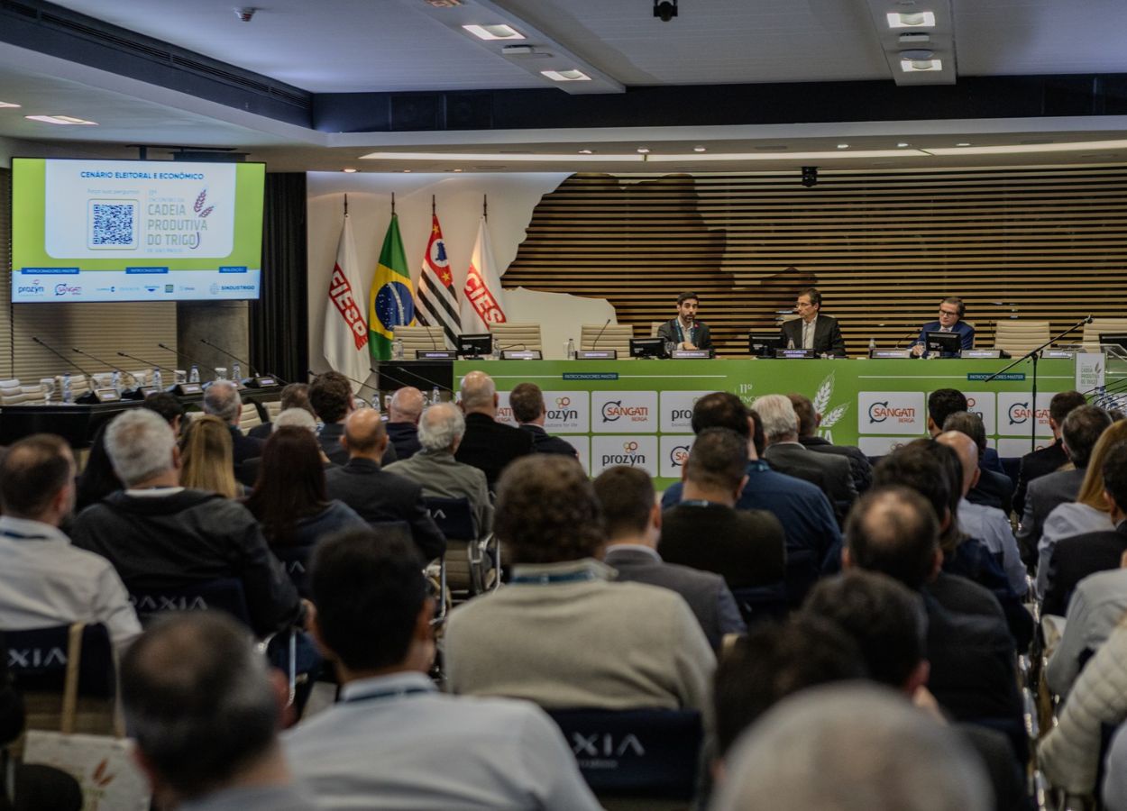 Trigo paulista registra avanços, mas clima afeta produção