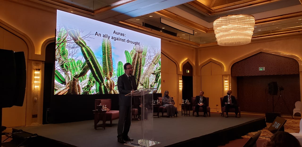 Embrapa apresenta resultados de parcerias com Agritechs, durante seminário nos Emirados Árabes