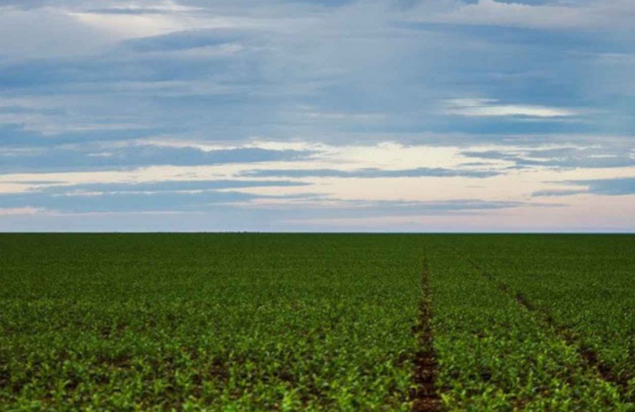 AGU pede prorrogação de suspensão de lei que afeta Moratória da Soja
