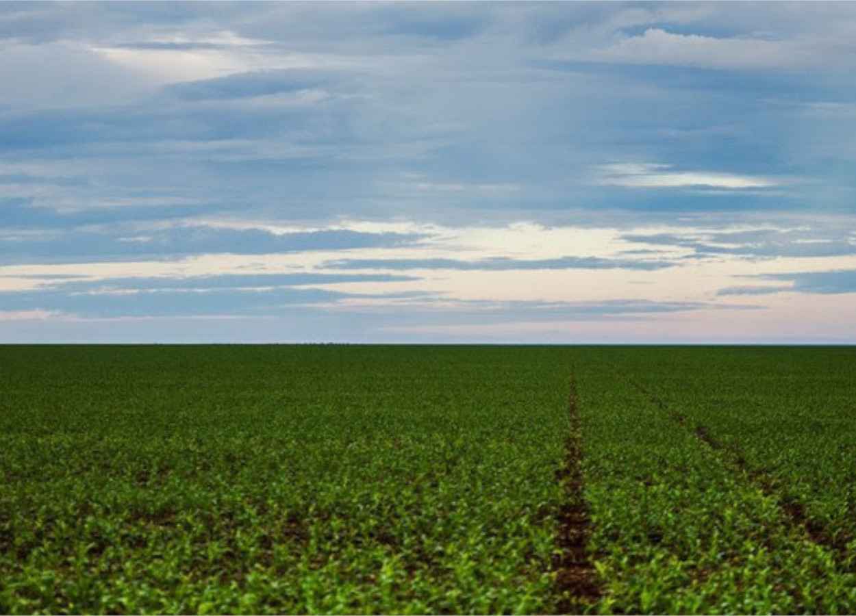 AGU pede prorrogação de suspensão de lei que afeta Moratória da Soja