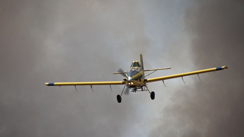 Foto: Castor Becker Júnior