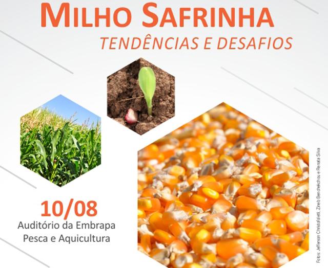 Seminário reunirá cadeia produtiva do milho safrinha no Tocantins