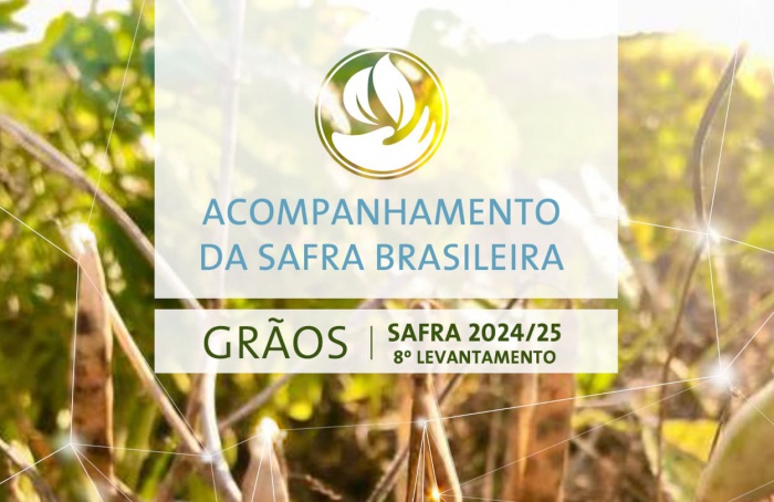 Conab divulga oitavo levantamento da safra 2024/25