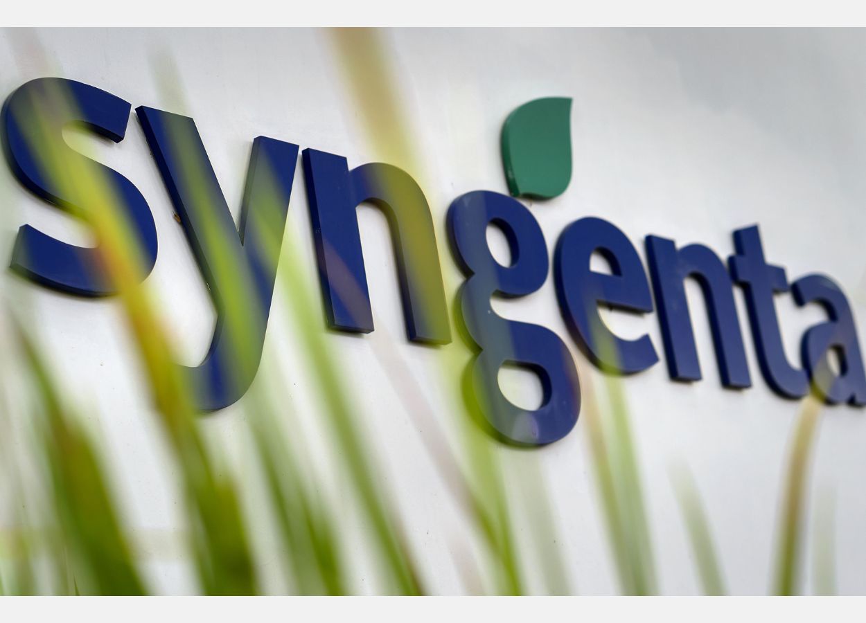 Syngenta abre 60 vagas para Programa de Estágio superior