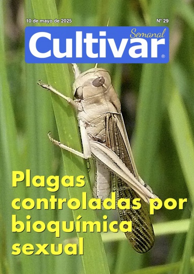 Cultivar Semanal 29