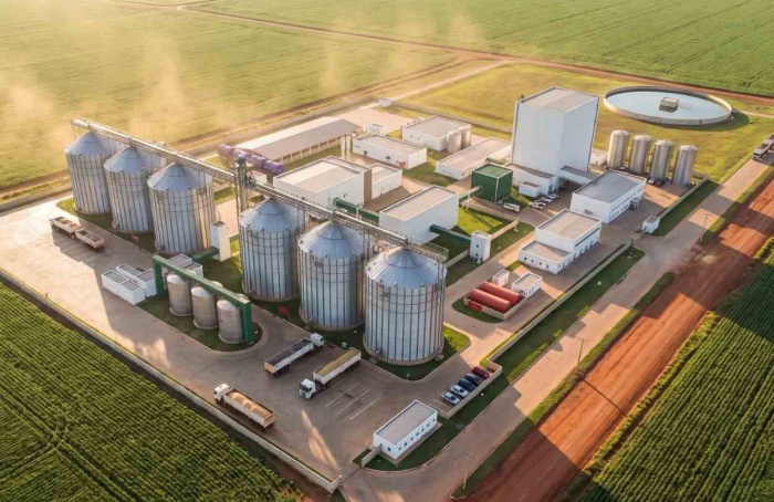 Projeto busca ampliar industrialização da soja no Brasil