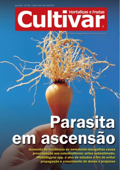 Cultivar HF 159