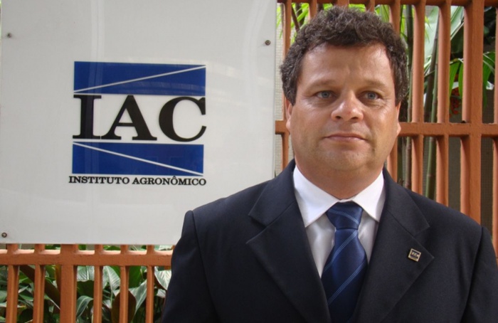 Novos protocolos vão orientar o manejo da podridão-da-uva-madura