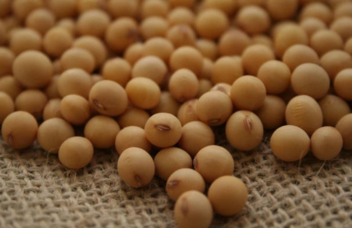 Reunião de Pesquisa da Soja debate perspectivas em junho