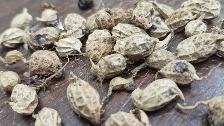 Foto: Marcos Esteves