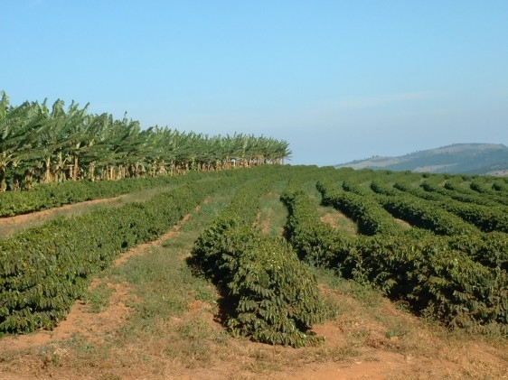 DuPont focaliza tecnologias de ponta no 18º Simpósio sobre Cafeicultura da cidade de Manhuaçu