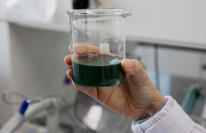 Revestimento protege fungo benéfico em fertilizante químico
