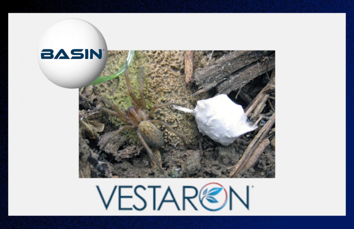 Vestaron receives approval for Basin biological insecticide