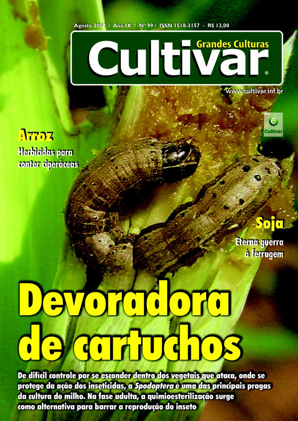 Devoradora de cartuchos