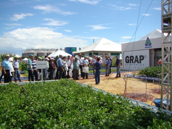 Agrocete participa do Dia de Campo na C. Vale – Palotina-PR