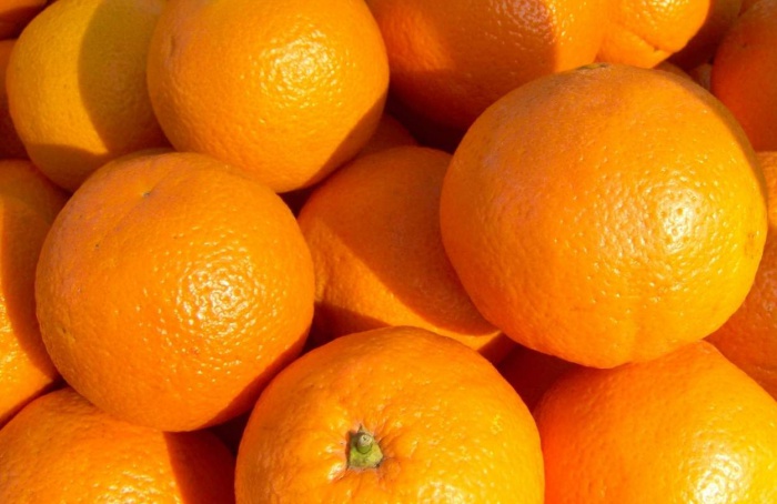 Safra de laranja 2025/26 é revisada para baixo