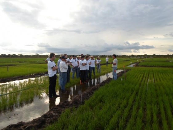 Expedição Cerrado 2014