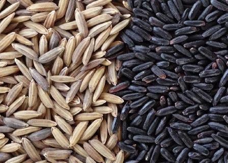 Ciência confere assinatura química que agrega valor ao arroz preto produzido no Brasil