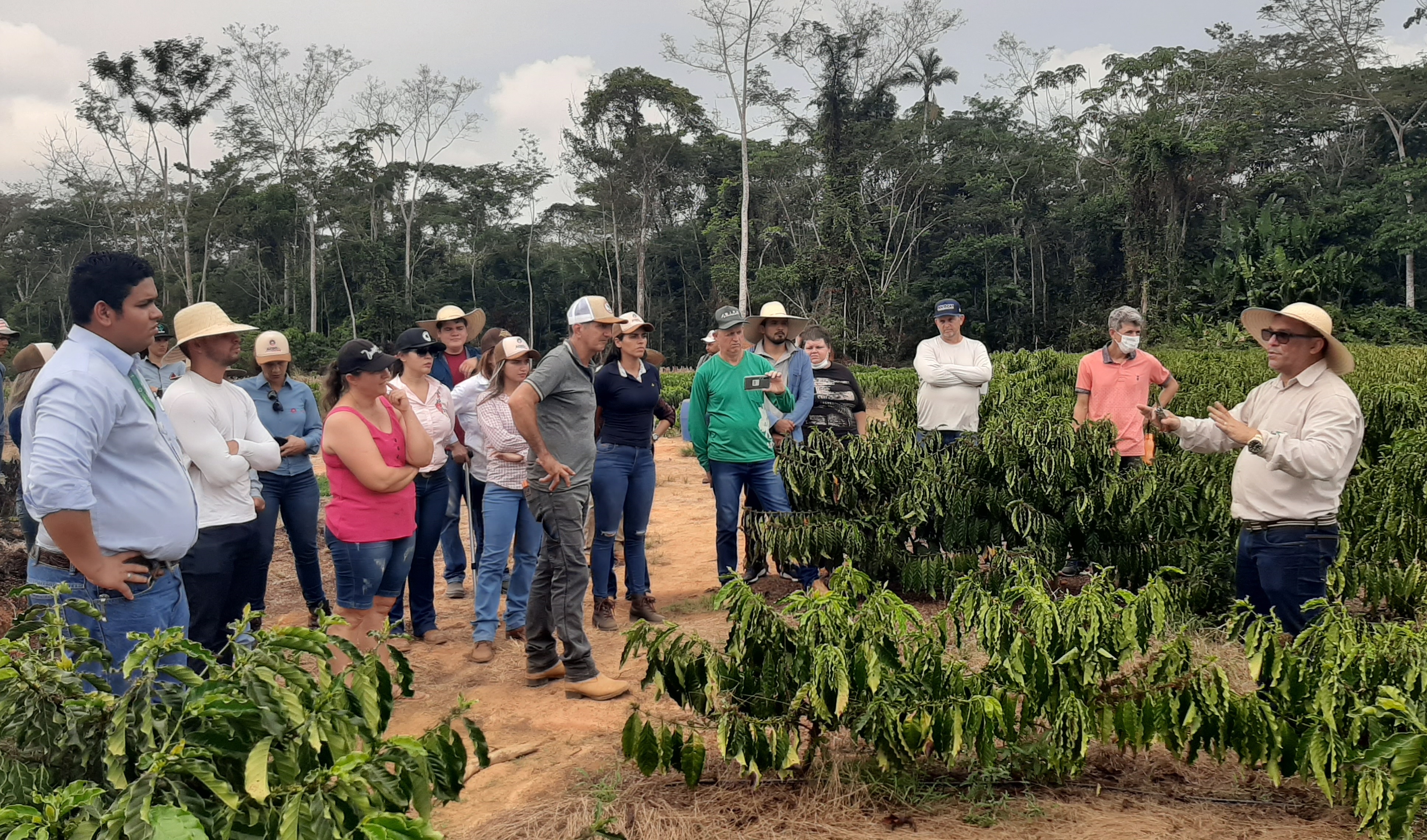 Capacitação atualiza conhecimentos sobre produção de Cafés Robustas Amazônicos