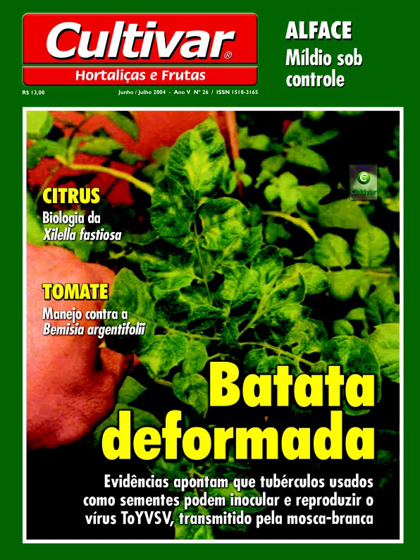 Batata Deformada