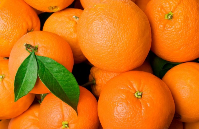 Produção de laranja volta a cair no cinturão citrícola