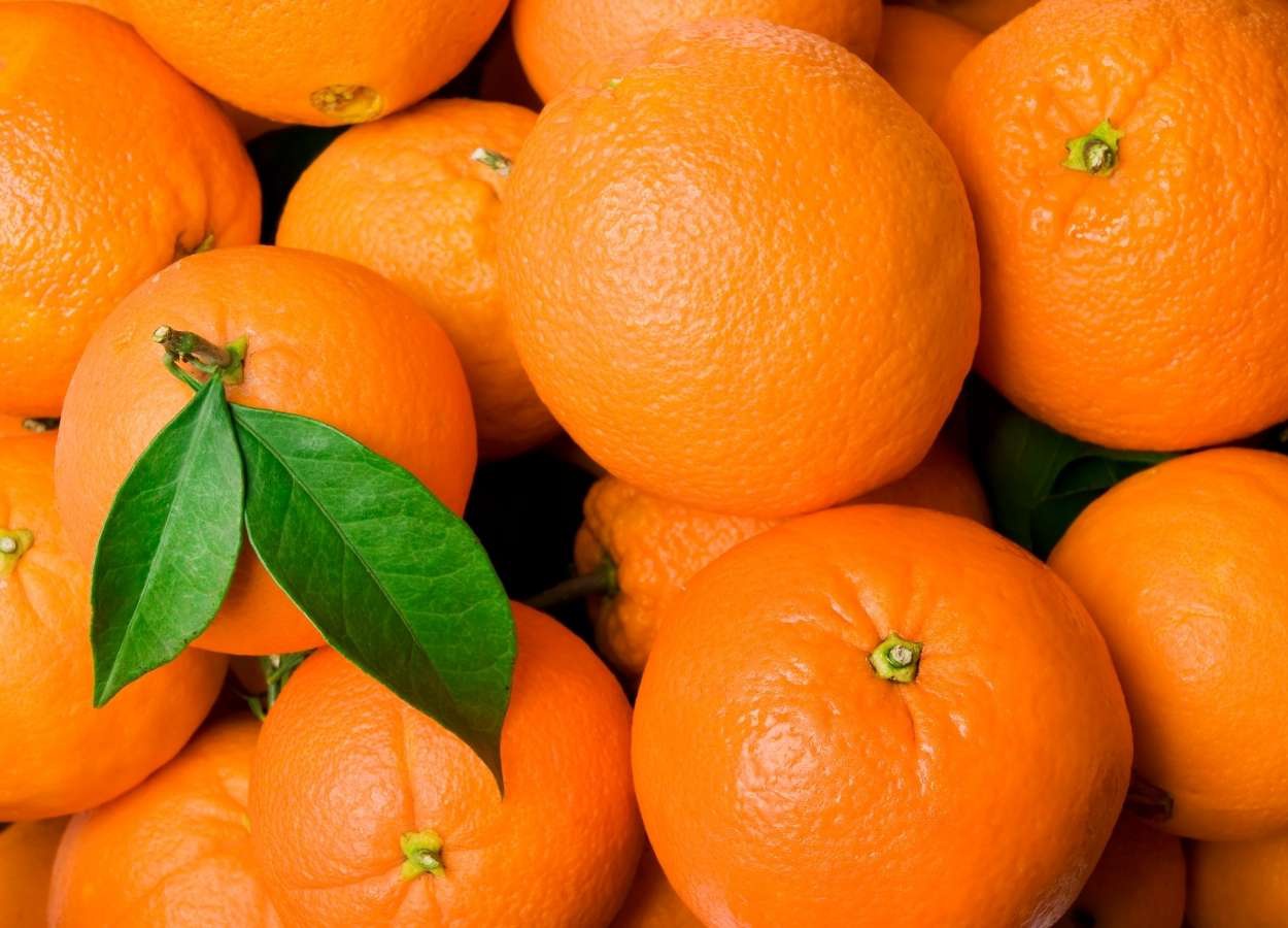 La producción de naranja vuelve a caer en el cinturón citrícola.