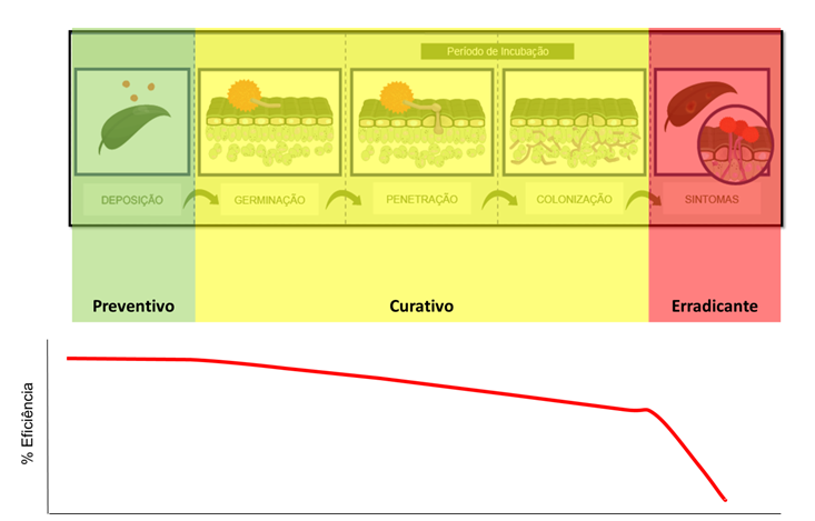 Figura 5 – Variações na eficiência do controle, devido a variações no momento de controle das fases do patógeno.