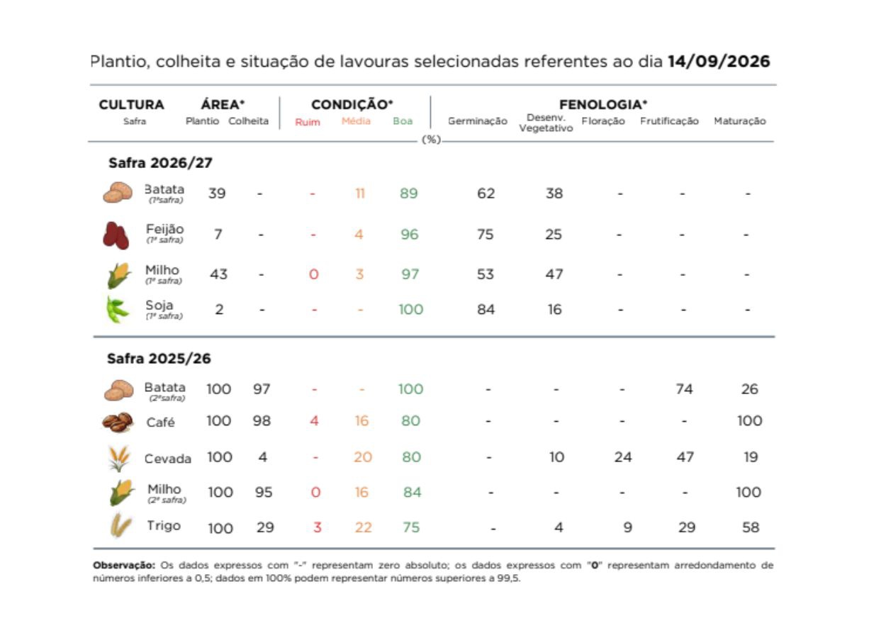 PR Safra 2026/27: chuva afeta avanço das lavouras