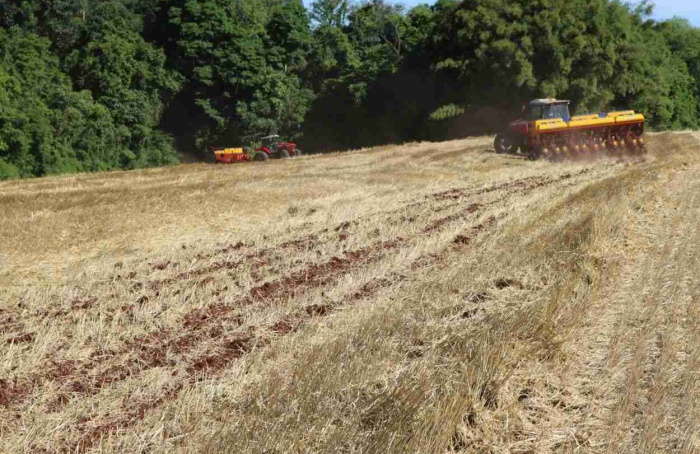 Rio Grande do Sul inicia semeadura da soja em mais de 6,8 milhões de hectares