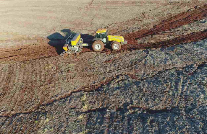 Pesquisador analisa desafios e aponta estratégias para a agricultura do Rio Grande do Sul após enchentes