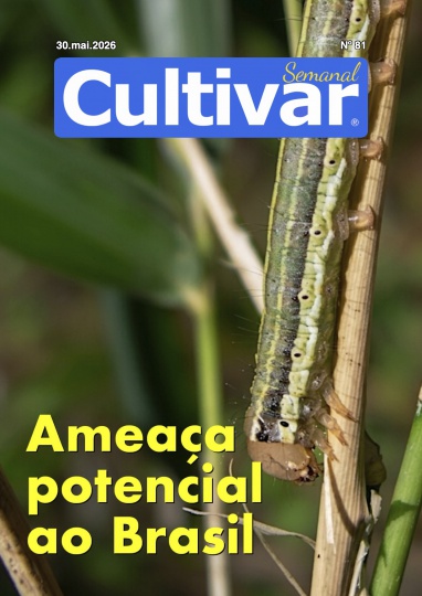 Cultivar Semanal 81
