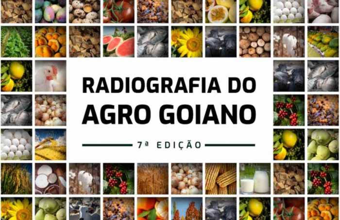 Goiás registra US$ 13,4 bilhões em exportações em 2025