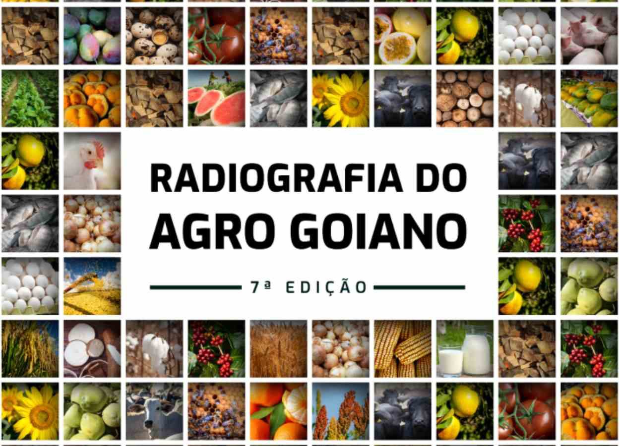 Goiás registra US$ 13,4 bilhões em exportações em 2025