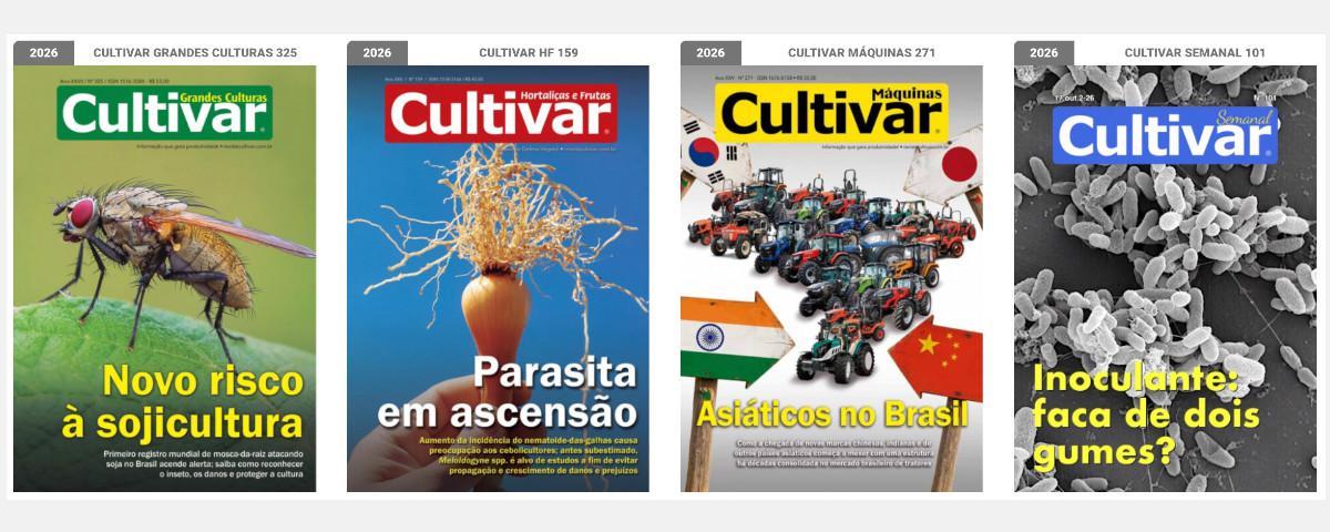 Capas - 2025
