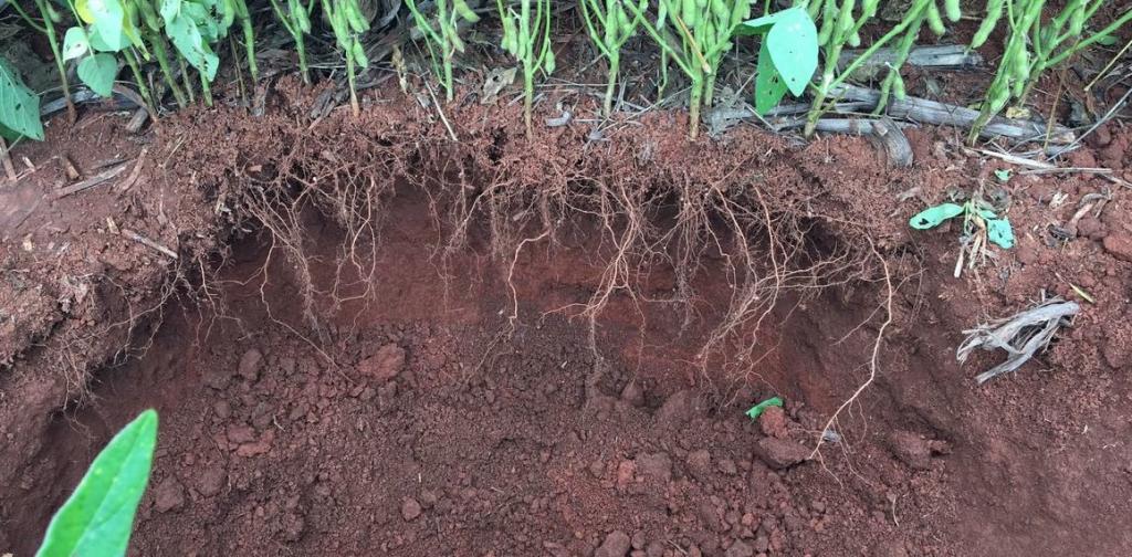 Microgeo apoia Fórum FEBRAPDP em Agronegócio