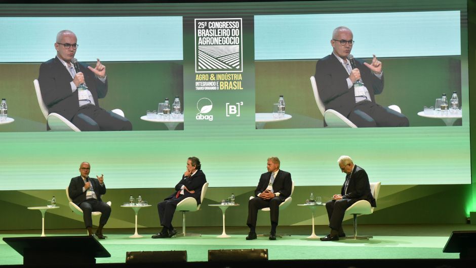 Foto: Gerardo Lazzari