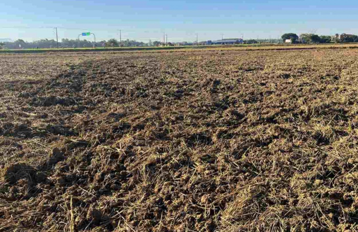 SC avança na preparação para receber próxima safra de arroz