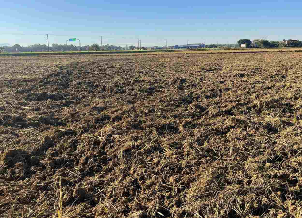 SC avança na preparação para receber próxima safra de arroz