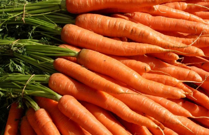 Conab aponta para queda de preços da cenoura em novembro