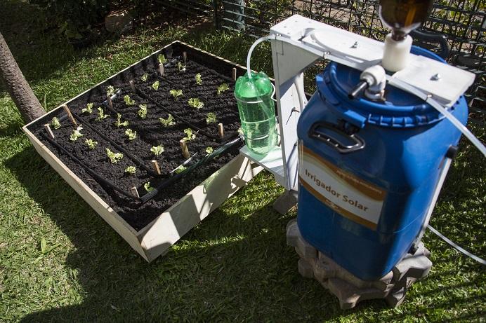 Irrigador solar é testado em canteiro de cana-de-açúcar em fazenda da Apta